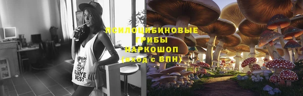 apvp Алексеевка