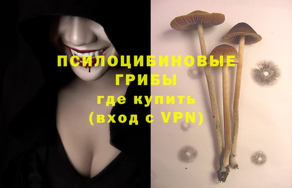мет Абаза