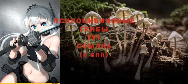 мет Абаза