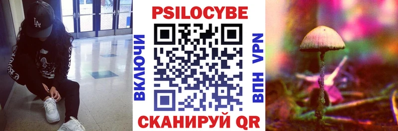 Псилоцибиновые грибы прущие грибы  Юхнов 